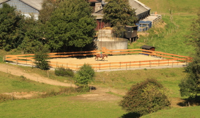 img 0440